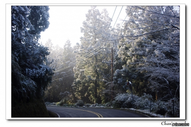 金旺與我的太平山雪景之旅