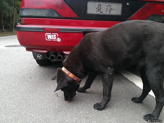 渦輪車是該溫車一下?
