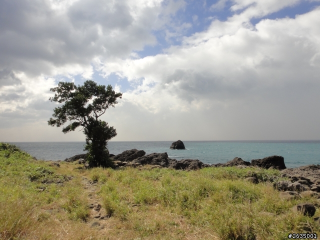 雙胞胎拔拔的KUGA墾丁上山下海體驗旅(圖爆多)