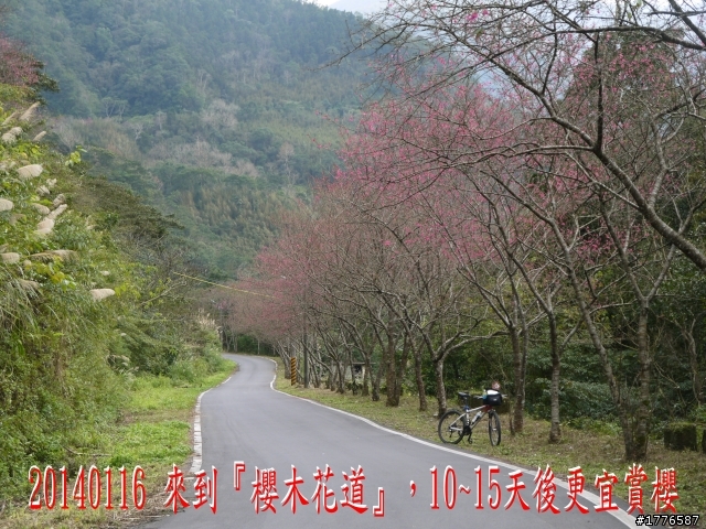 20140116 烏來福山賞櫻賞瀑之旅