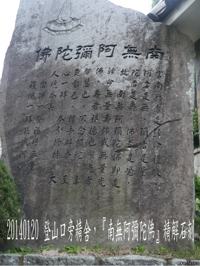 20140120 陽明山花季賞櫻竹子湖賞芋之旅