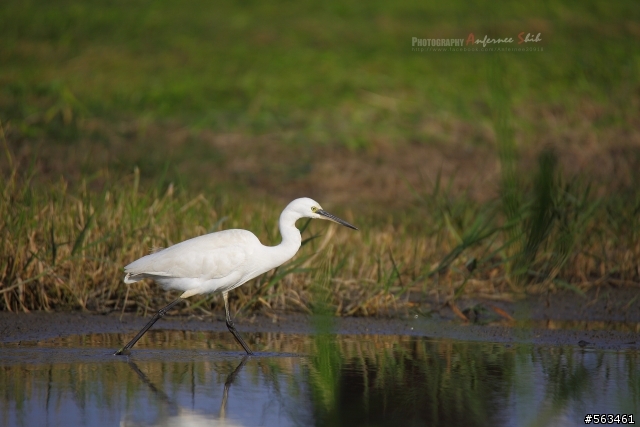 Tamron SP 150-600mm簡易開箱加實拍。