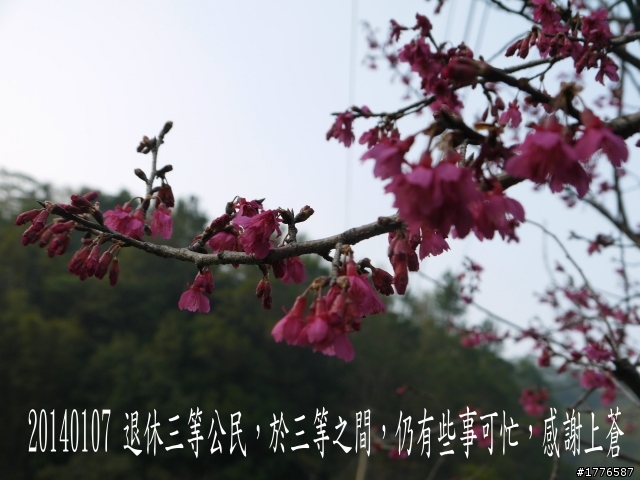 20140107 羅馬公路之旅