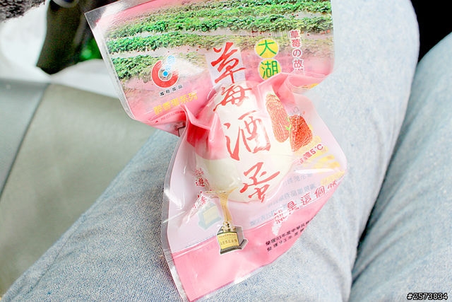 景點|苗栗大湖 第一期 採草莓 酸酸甜甜的浪漫味道