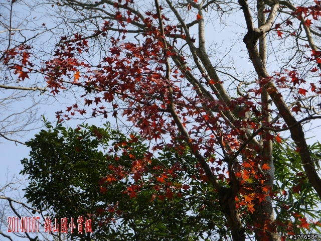 20140107 羅馬公路之旅