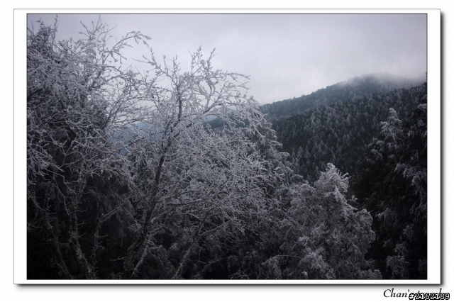 金旺與我的太平山雪景之旅