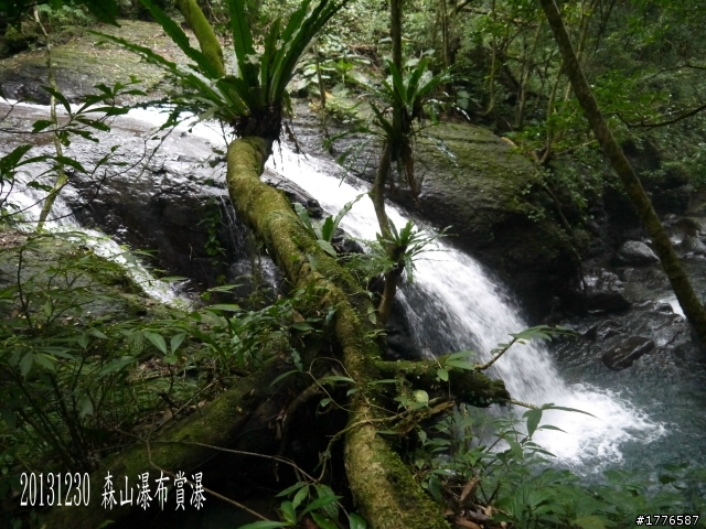 20131230 雲森瀑布賞楓賞瀑之旅