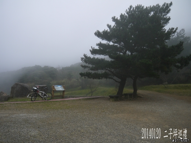 20140120 陽明山花季賞櫻竹子湖賞芋之旅