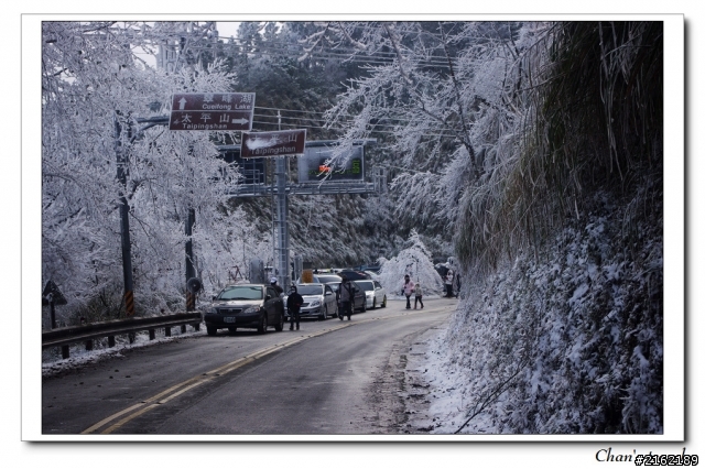 金旺與我的太平山雪景之旅