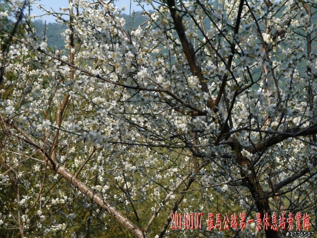 20140107 羅馬公路之旅