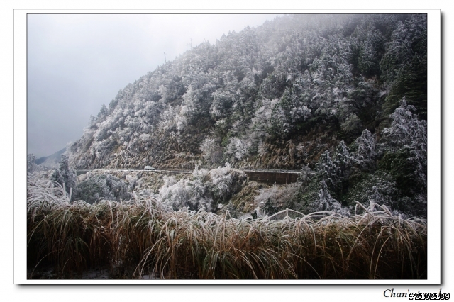金旺與我的太平山雪景之旅