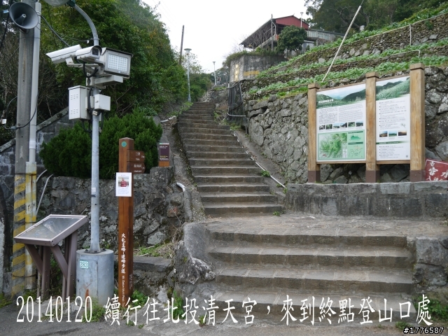 20140120 陽明山花季賞櫻竹子湖賞芋之旅