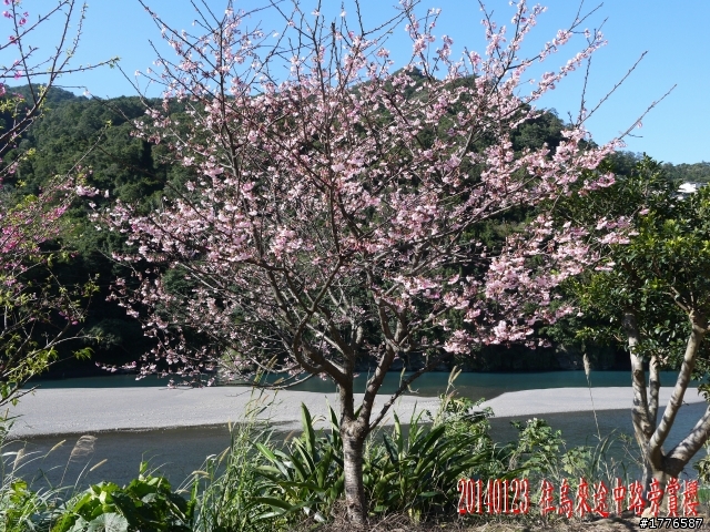 20140123 桶后之旅