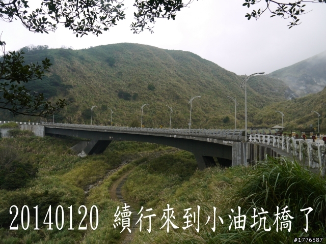 20140120 陽明山花季賞櫻竹子湖賞芋之旅
