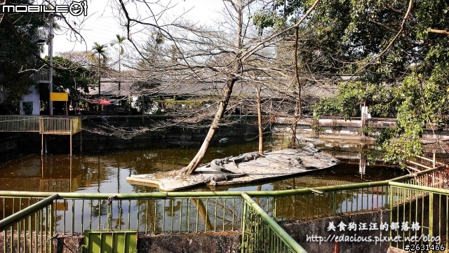 美食狗汪汪【屏東-遊記】激釣巨鱷 不一樣的鱷魚農場