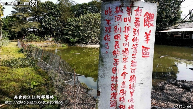 美食狗汪汪【屏東-遊記】激釣巨鱷 不一樣的鱷魚農場