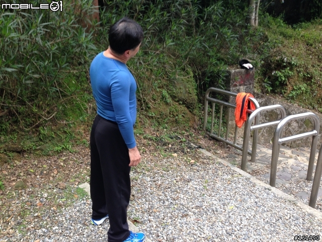 剽悍、防水跑鞋新選擇- MERRELL ASCEND GLOVE GORE-TEX 開箱 (赤足鞋款 barefoot)