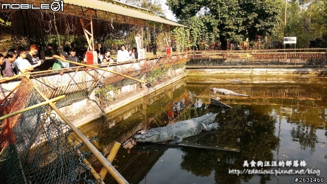 美食狗汪汪【屏東-遊記】激釣巨鱷 不一樣的鱷魚農場