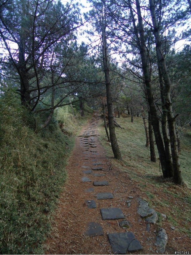 失戀不要一個人去爬山
