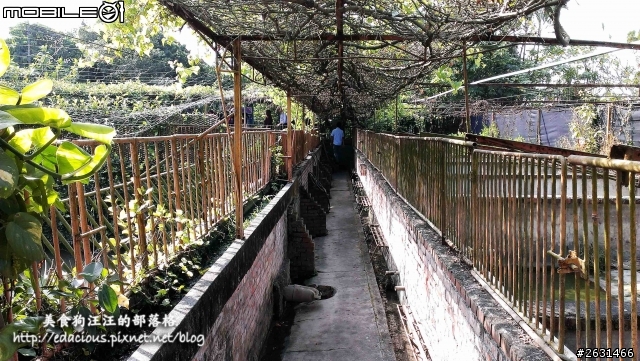 美食狗汪汪【屏東-遊記】激釣巨鱷 不一樣的鱷魚農場