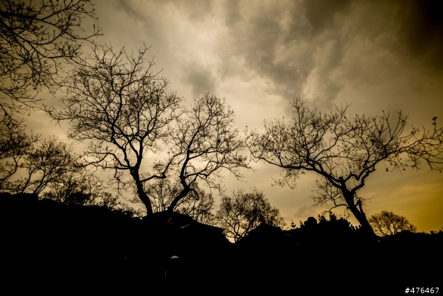 SONY A7 + NEX E鏡蓋樓吧!