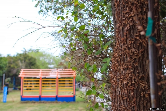 遇見南科旁的神祕花園─雲山坊田園餐廳