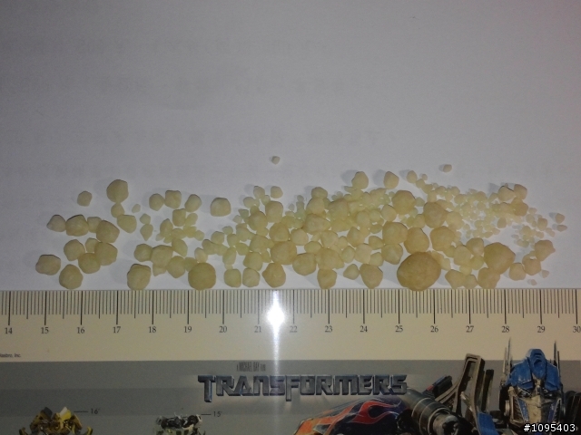 當寵物身體出狀況時,真的要慎選動物醫院!