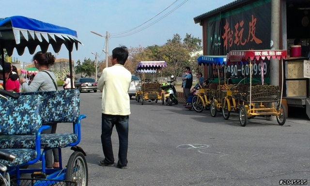 最新的太陽能電動遊園車
