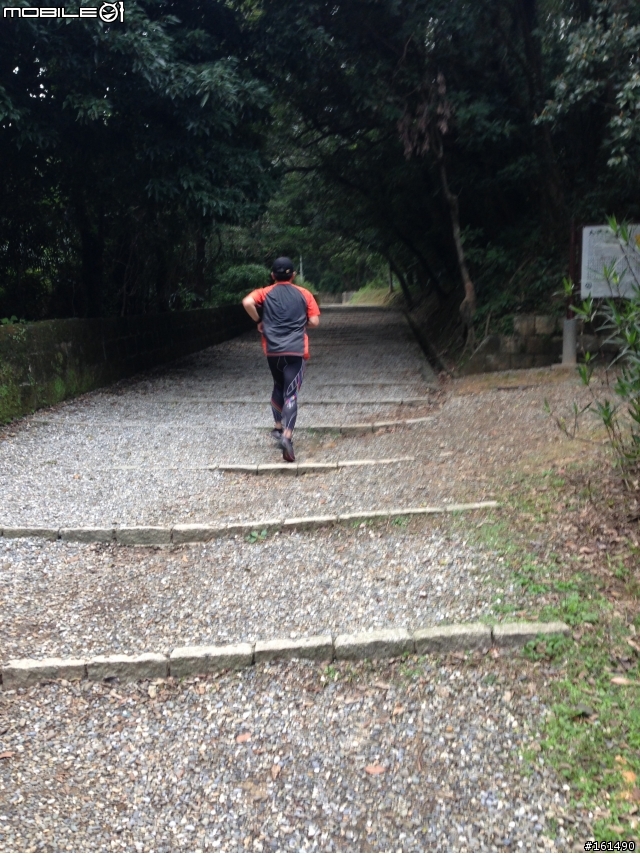 剽悍、防水跑鞋新選擇- MERRELL ASCEND GLOVE GORE-TEX 開箱 (赤足鞋款 barefoot)