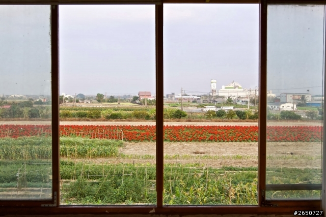 遇見南科旁的神祕花園─雲山坊田園餐廳