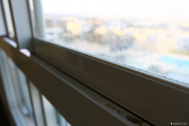 住宿分享 台中 清新溫泉飯店