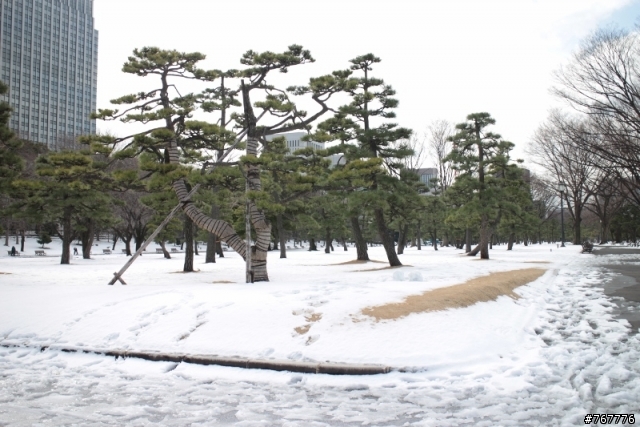 2014年自由行,東京,山形藏王樹冰,奧之細道立石寺,松島灣,一路玩到北海道