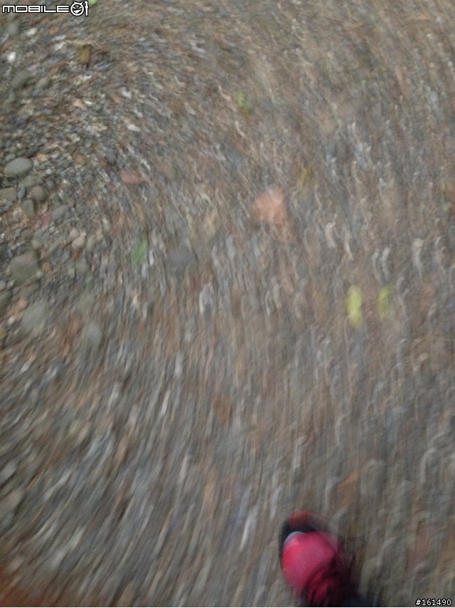 剽悍、防水跑鞋新選擇- MERRELL ASCEND GLOVE GORE-TEX 開箱 (赤足鞋款 barefoot)