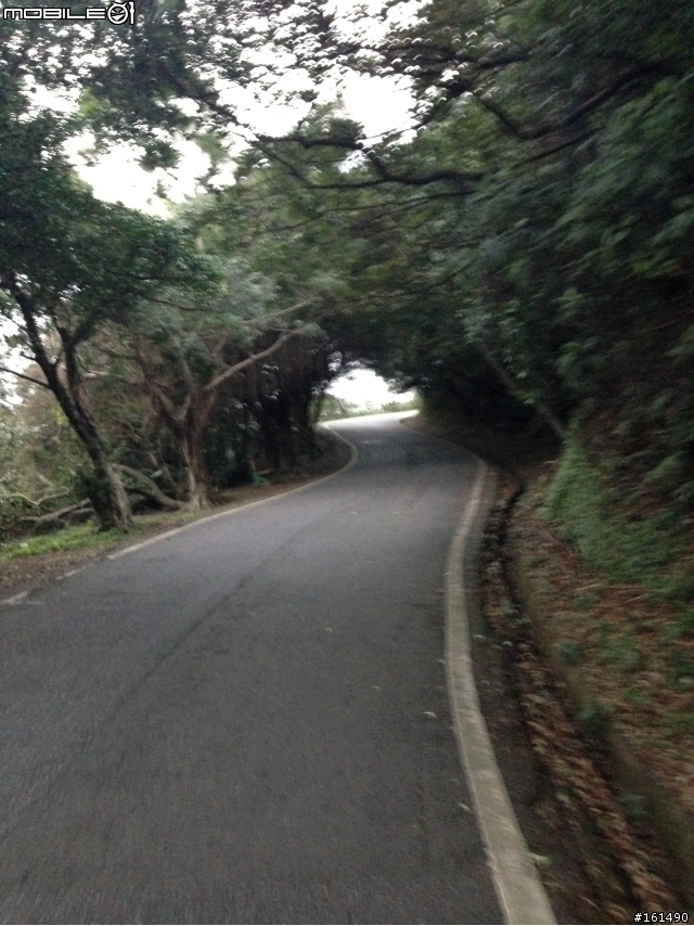 剽悍、防水跑鞋新選擇- MERRELL ASCEND GLOVE GORE-TEX 開箱 (赤足鞋款 barefoot)