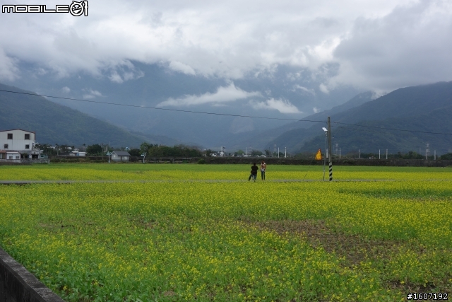 OZ小環島