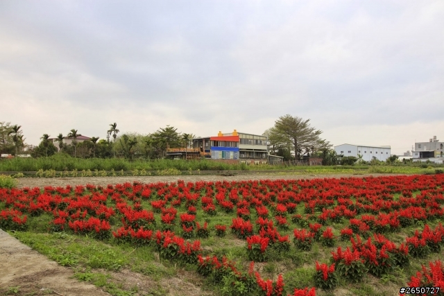 遇見南科旁的神祕花園─雲山坊田園餐廳