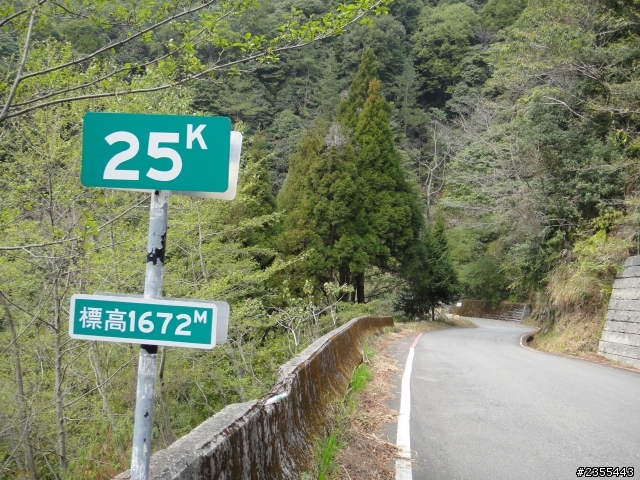 漫遊台中新社與大雪山林道,發現吉野櫻的尋花之旅(下)