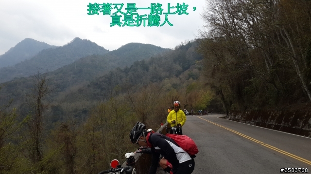 NeverStop塔塔加~粉領族單車進化記