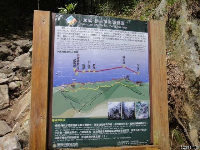 漫遊台中新社與大雪山林道,發現吉野櫻的尋花之旅(下)