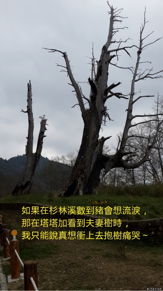 NeverStop塔塔加~粉領族單車進化記