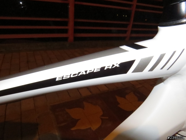 新手購車 GIANT ESCAPE RX3 開箱文