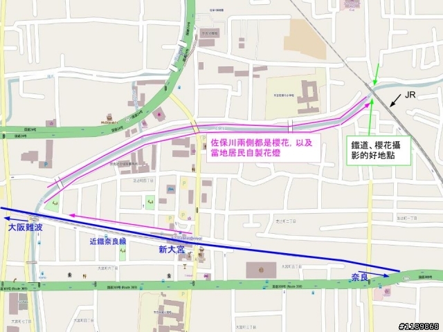 日本關西賞櫻小攻略