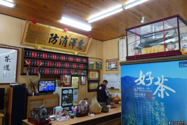 2014年 Never Stop 塔塔加,慢騎探索新中橫,