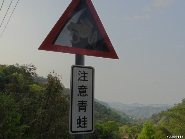 漫遊台中新社與大雪山林道,發現吉野櫻的尋花之旅(下)