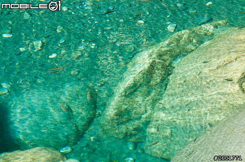 花蓮仙境- 慕谷慕魚旅遊趣
