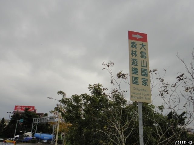 漫遊台中新社與大雪山林道,發現吉野櫻的尋花之旅(上)
