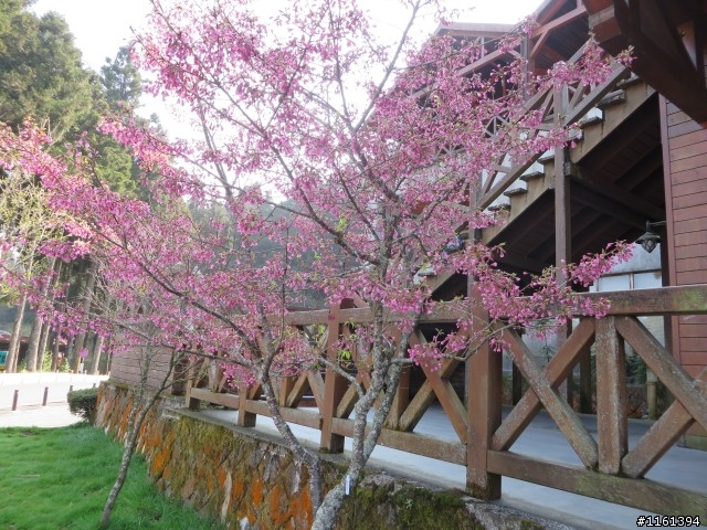 一個450公里的約定.....