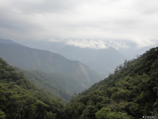 漫遊台中新社與大雪山林道,發現吉野櫻的尋花之旅(下)