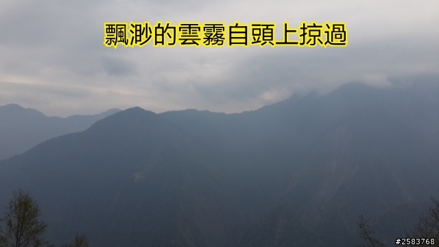 NeverStop塔塔加~粉領族單車進化記