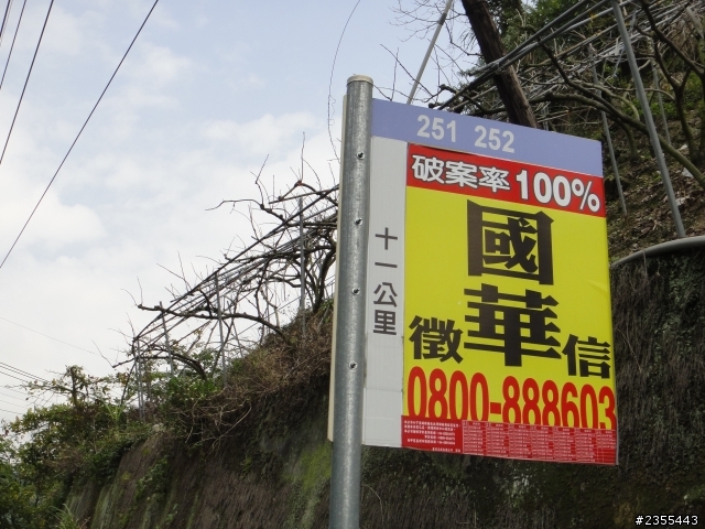 漫遊台中新社與大雪山林道,發現吉野櫻的尋花之旅(下)